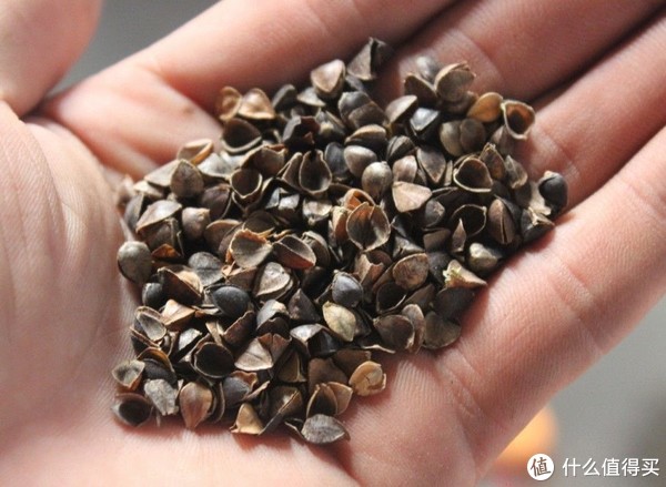 颈椎病睡记忆枕管用吗 (记忆枕对颈椎病有效)