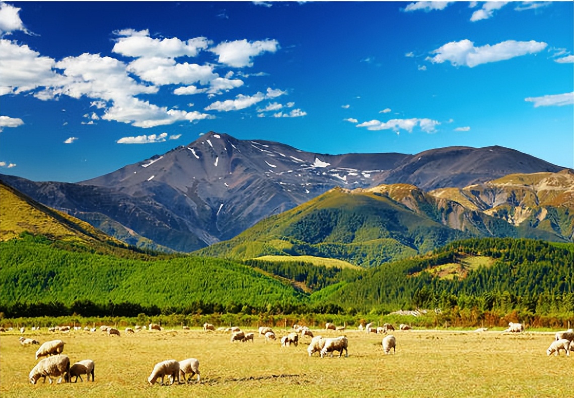 新西兰的自然资源条件,新西兰对自然环境的保护