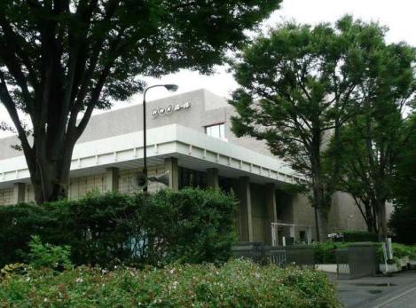 解放军在日本的狂热粉丝，不惜被骂“日奸”也要花钱扮演，为何？