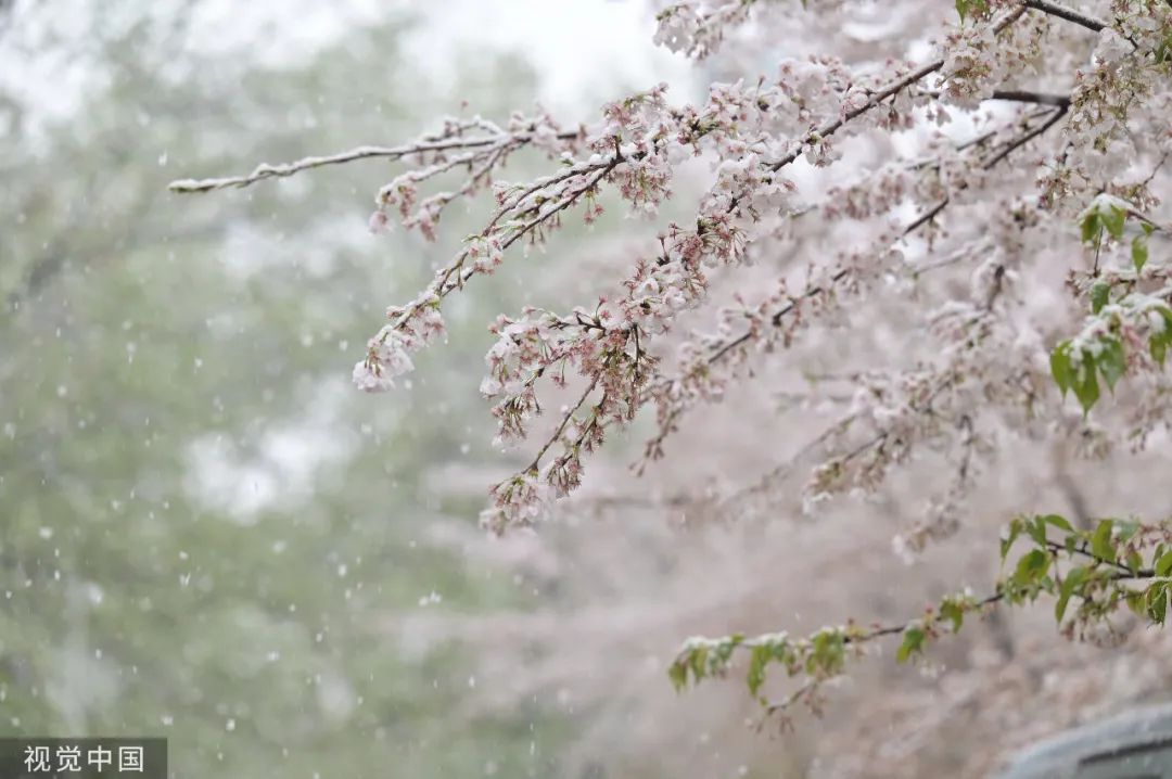 下雪的绝美诗句,最美下雪的诗词