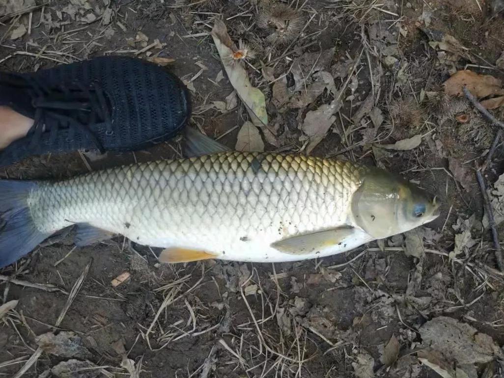 野钓选钓位技巧图解,野钓选钓位的正确方法