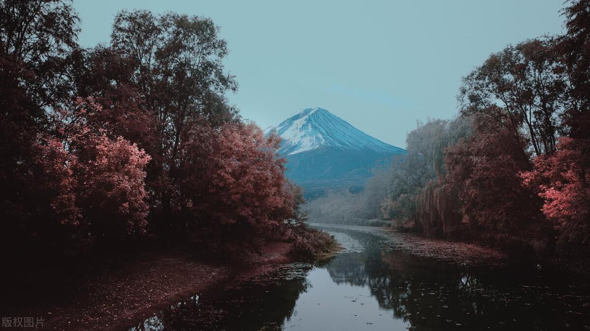 佳能5d4与尼康d850样片对比,佳能5d4与尼康d850样片对比评测