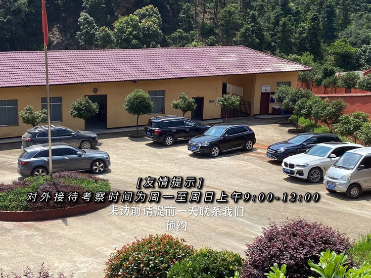 长毛黑山羊生长能力,岩羊的雌性生殖生理解剖