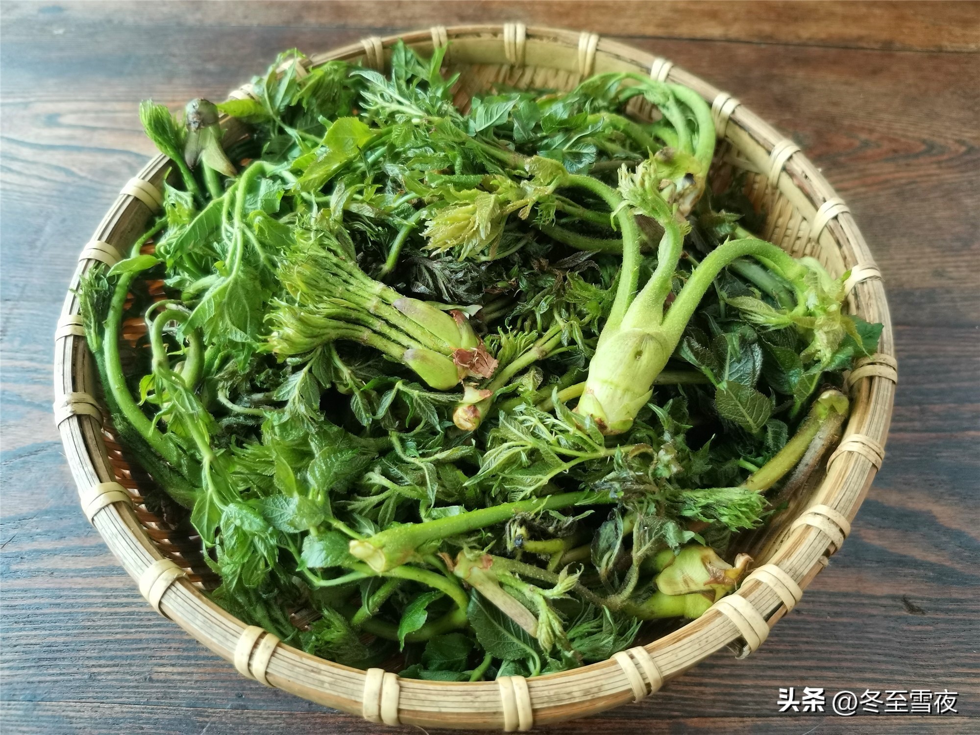 春天种植什么菜可以四季吃,春天种什么蔬菜营养好