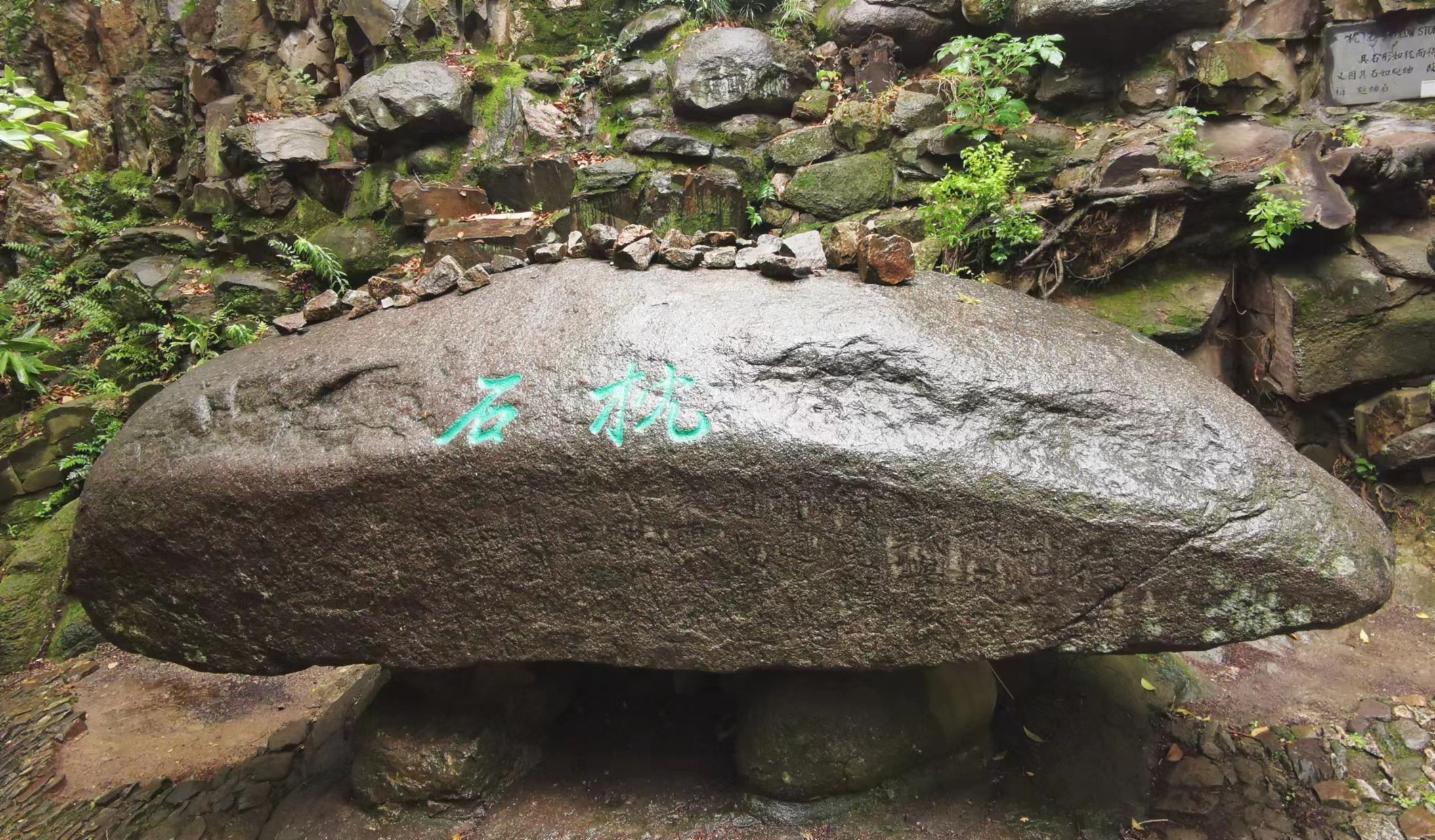 苏州虎丘茶花村,苏州最值得去的地方虎丘