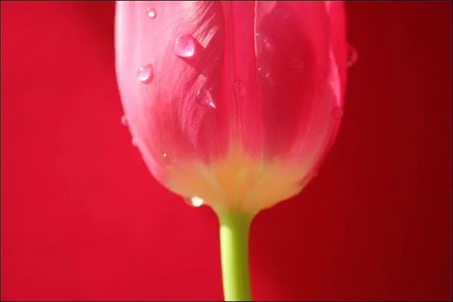 100幅经典摄影作品欣赏,100幅精品摄影图