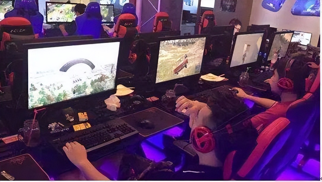 网鱼网咖王思聪占股多少,王思聪创业赔了多少