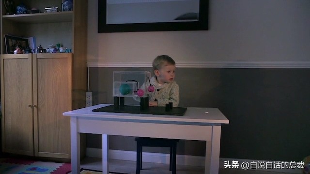 乌鸦为什么是外星人,外星人至今还未出现的5大原因