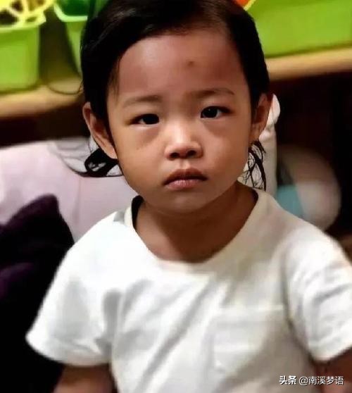 韩国郑仁虐童致死事件,韩国虐待郑仁儿童案件后续