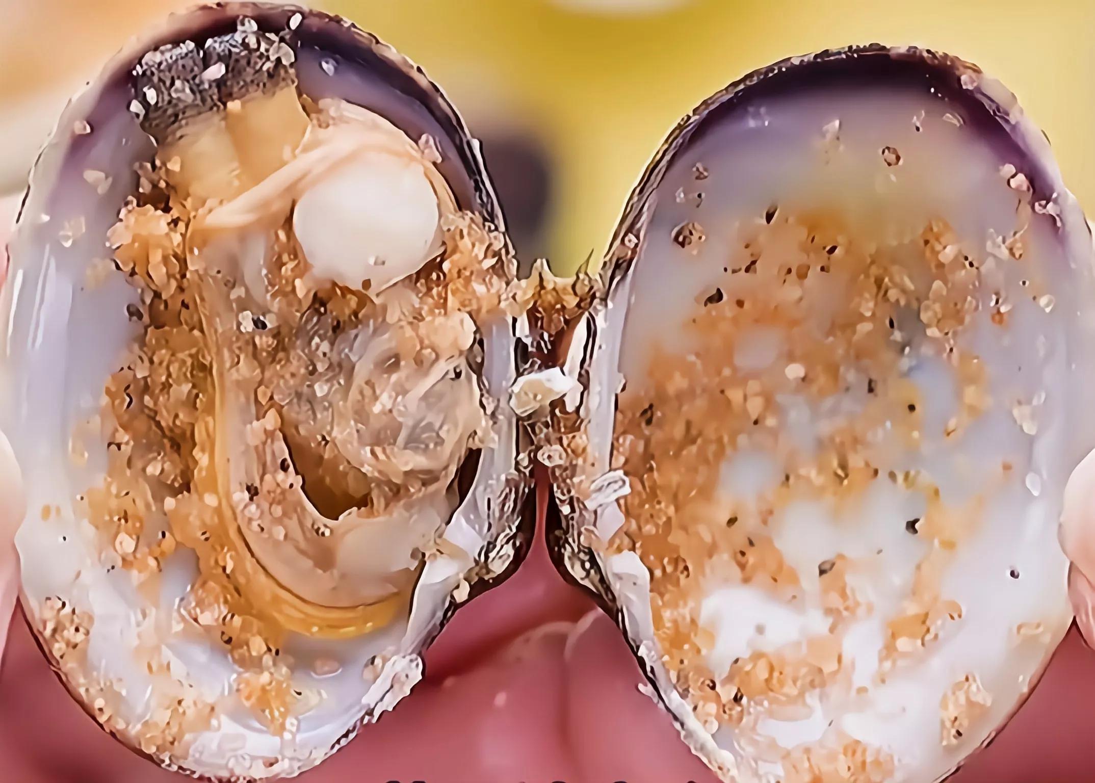 只用小苏打和白醋做胶水,不用小苏打光用牙膏做胶水