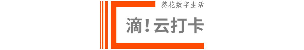 「葵花日更」网红自曝一天带货2亿净赚400万,官方介入调查