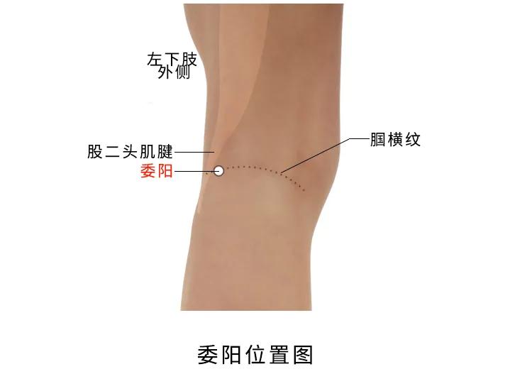 端午祛百病身安康,端午时节驱五毒