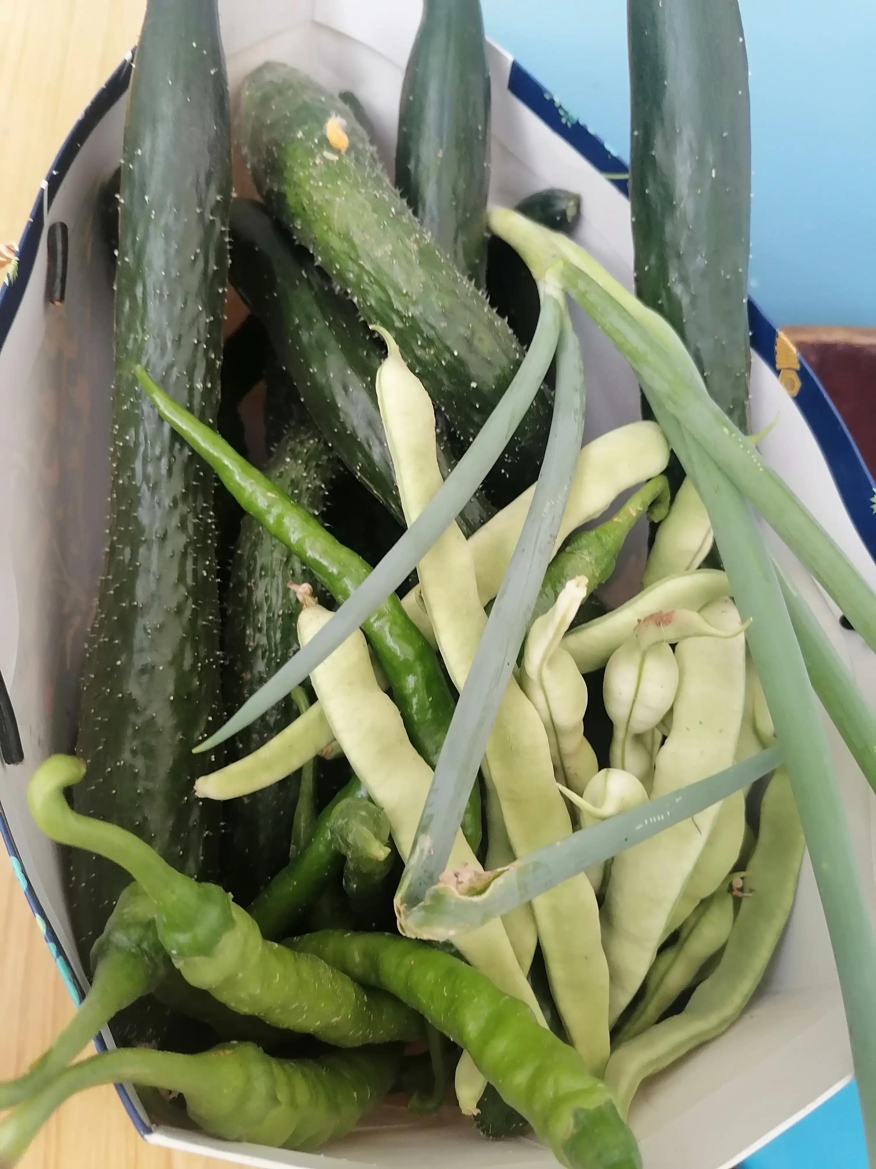 妈妈被马蜂蛰了,妈妈被马蜂蛰原视频