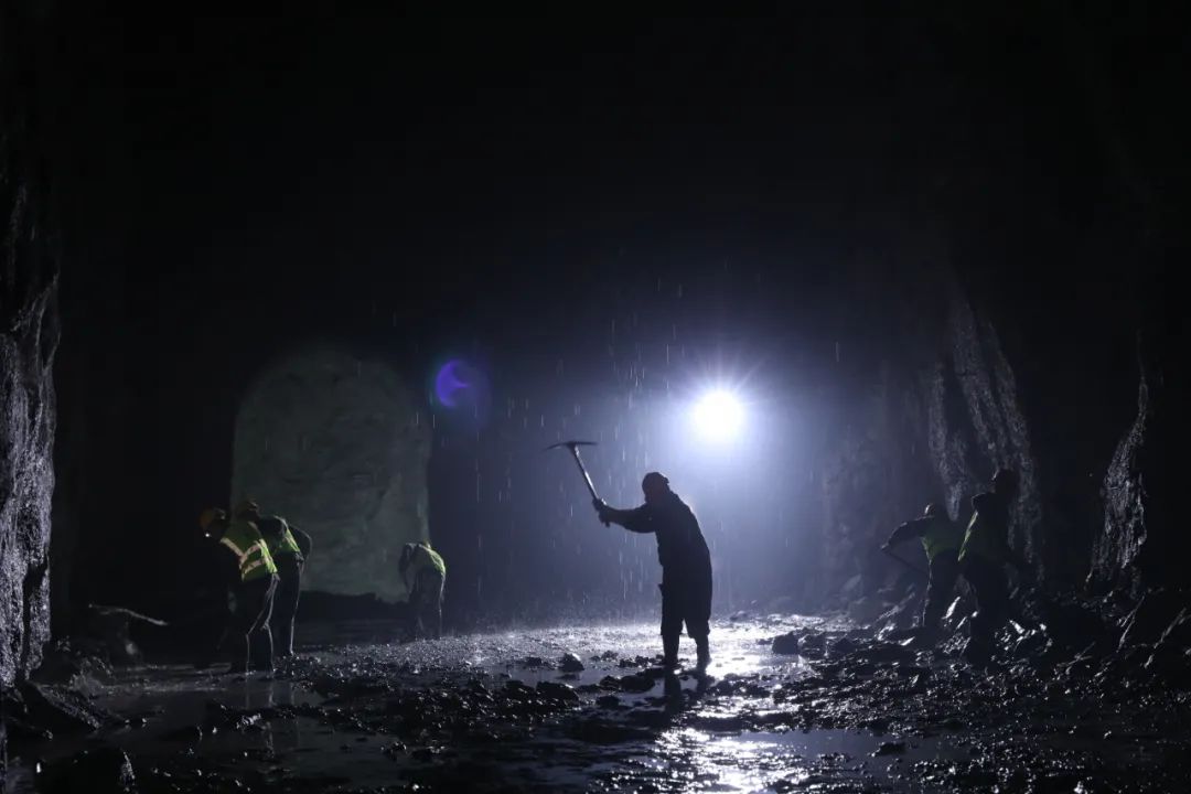 散文精选木棉花开,木棉花开散文朗诵