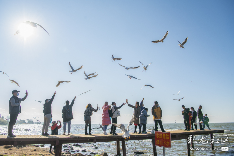 云南昆明生态旅游,昆明官渡区生态文化新城