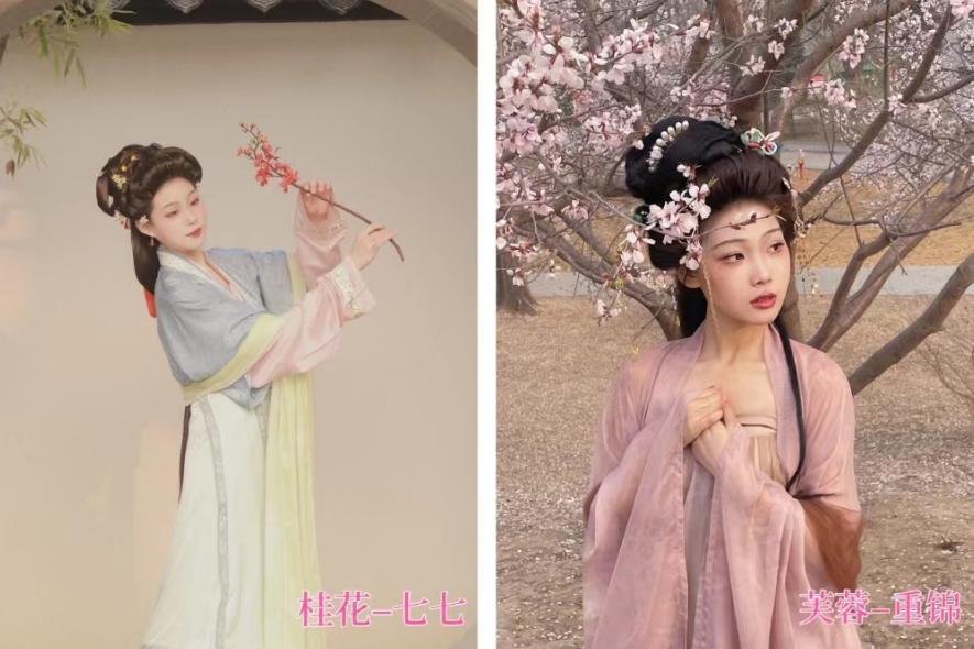 临清宛园花朝节,宛园花朝节门票