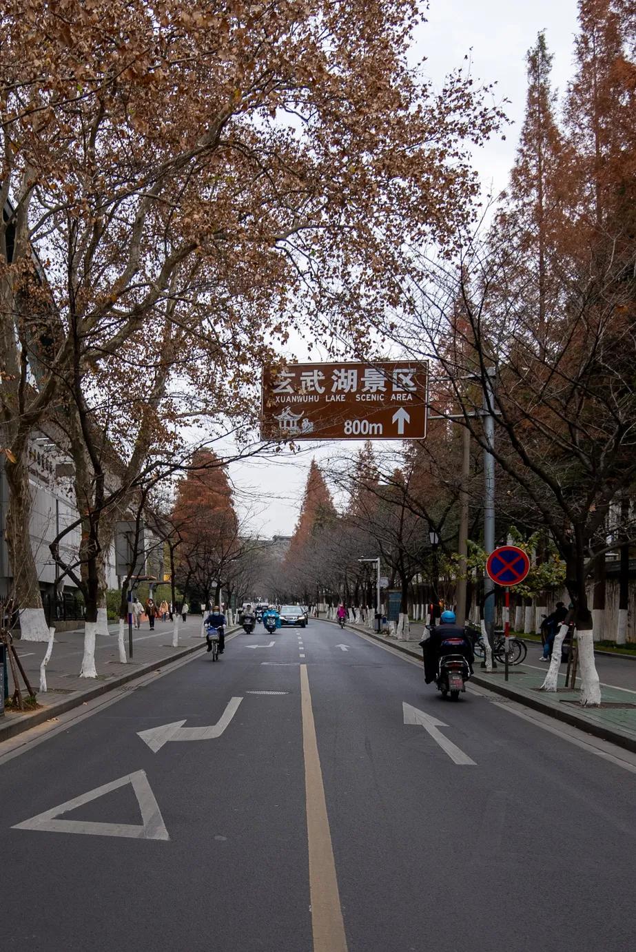 相约博物馆的感受,古生物博物馆南京