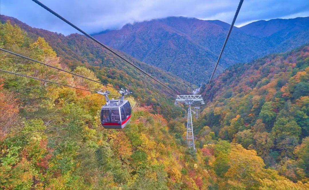 日本乡村振兴案例,日本农村水上乐园