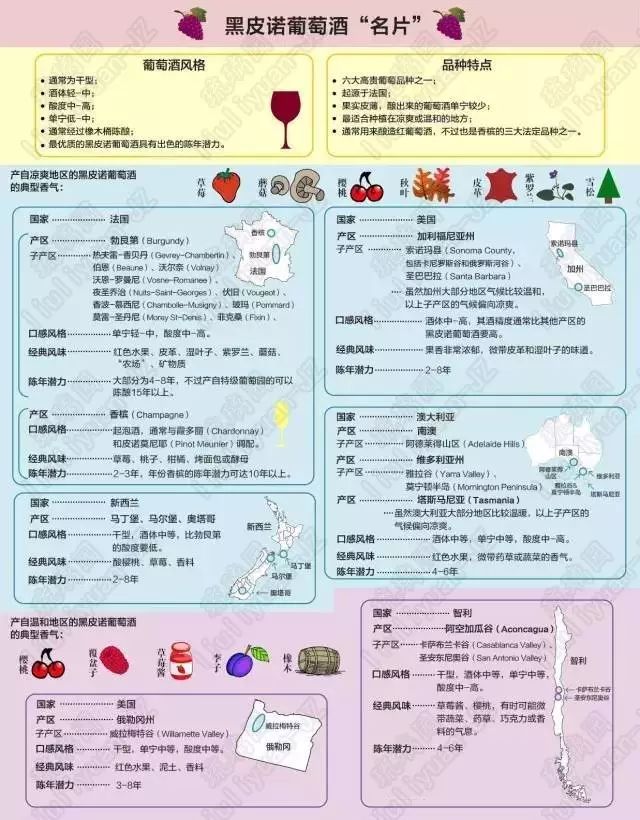 葡萄酒基础知识教程电子版,葡萄酒器具大全