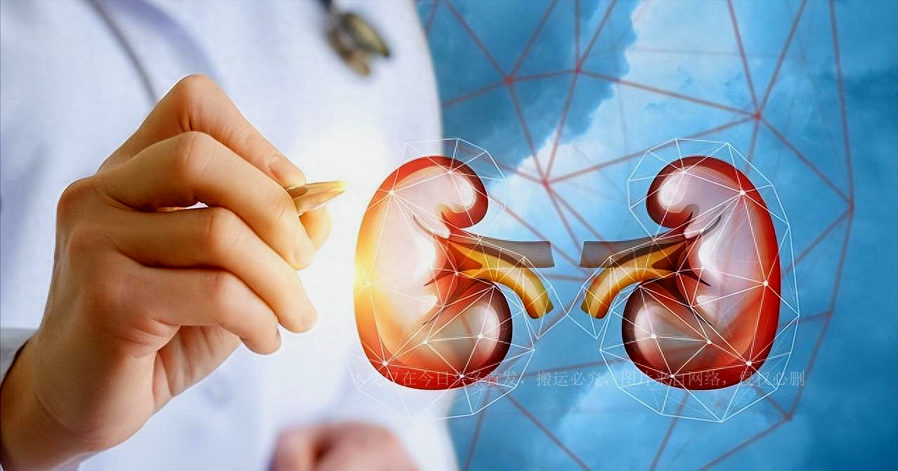 男性小便用纸巾擦会引起什么,为什么男性小便后会抖一抖