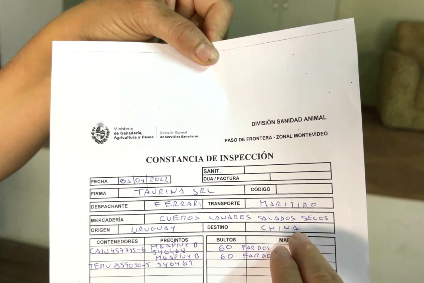 乌拉圭女老板出口羊皮，做成UGG价格翻100倍，成本才2美金