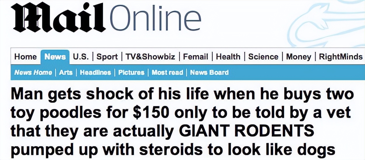 如何撰写一篇受人欢迎的博客,如何快速写一篇博客