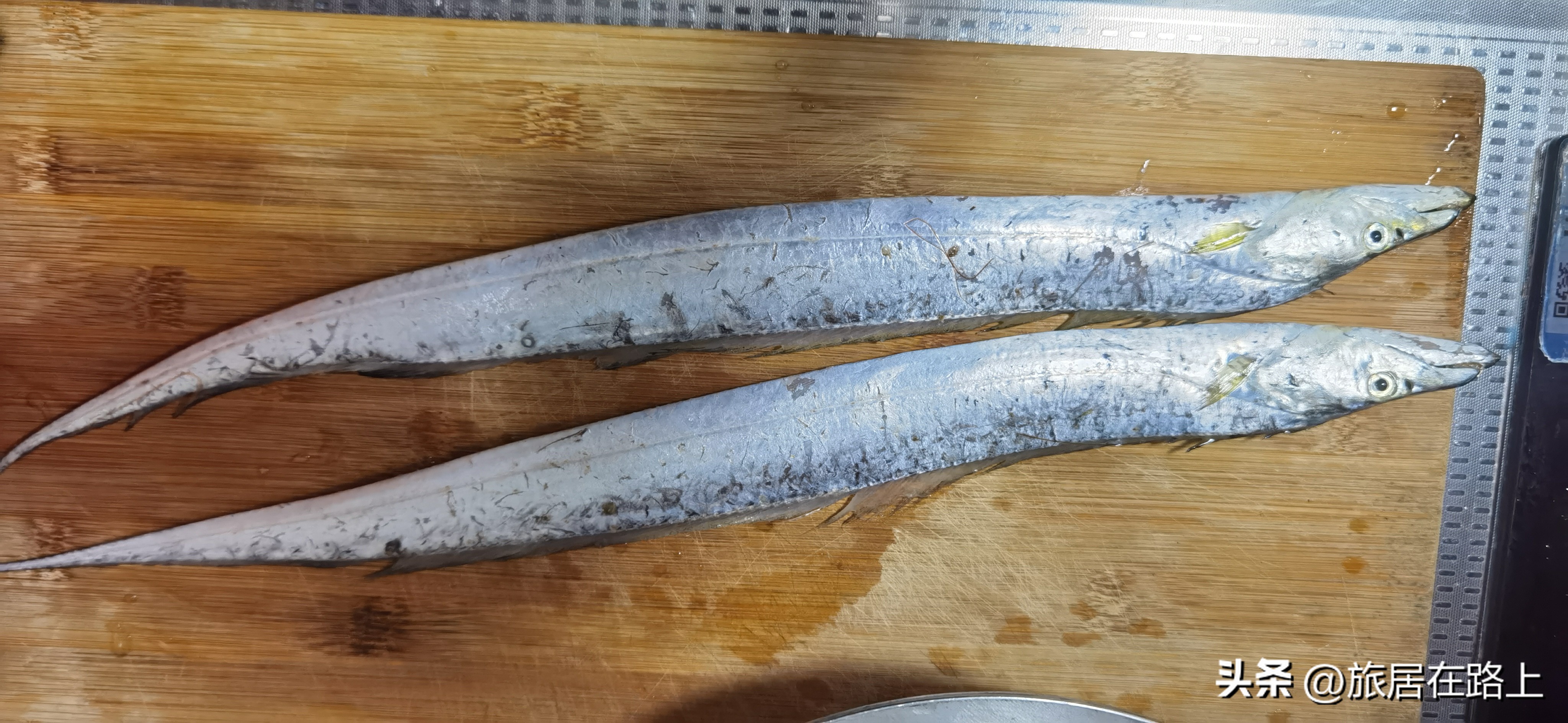 日照天气,日照直播