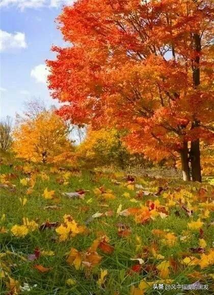 一天学一个成语一年级,一天学一个二字古词