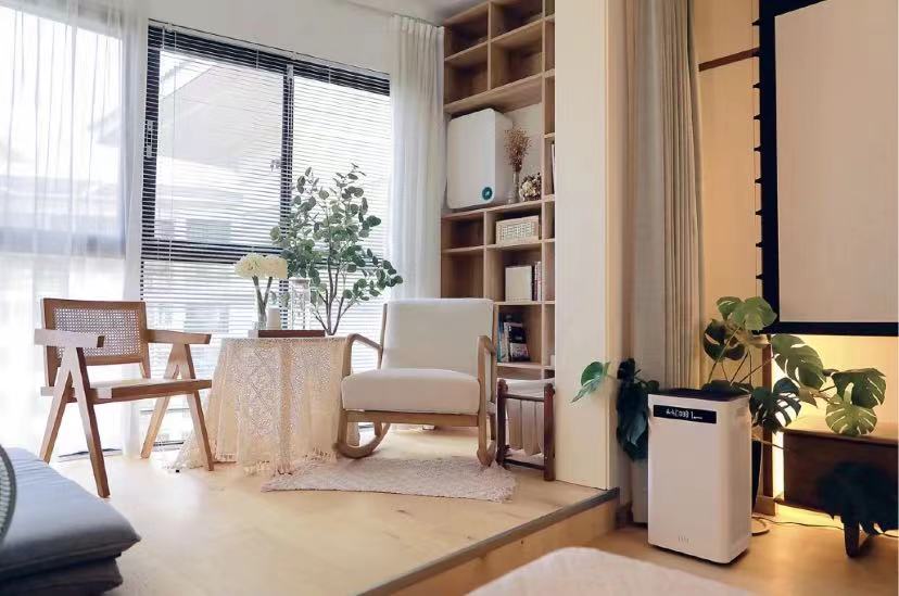 养猫家庭怎么选择空气净化器,养猫空气净化器好还是加湿器好