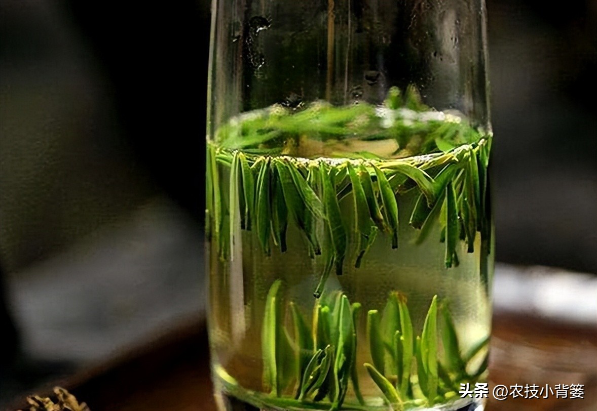 冬季喝茶健康常识,深冬喝茶这2种茶要多喝