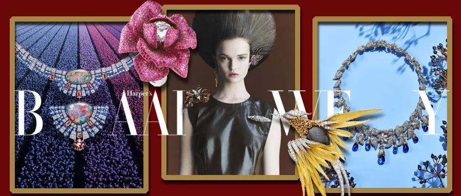 重要提示:大牌新高珠“自然风”8级预警,捂好钱包再进入