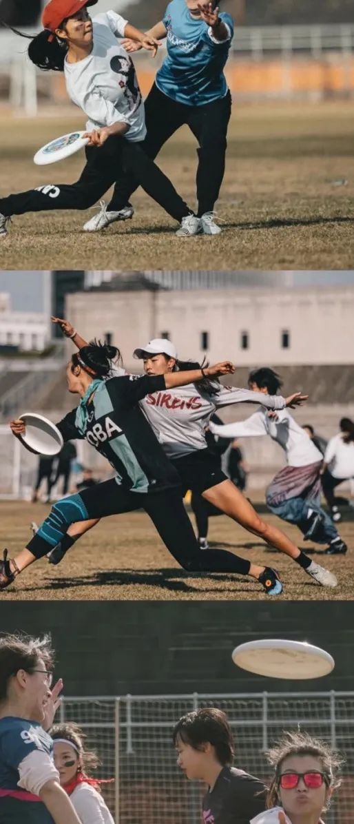 上海玩宠物,上海玩狗户外