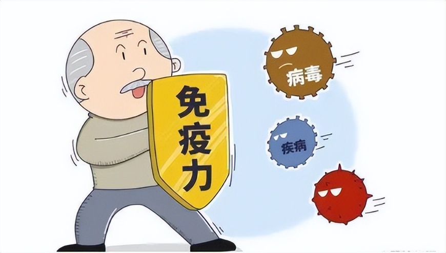 增强免疫系统,增强疫苗免疫效果的方法