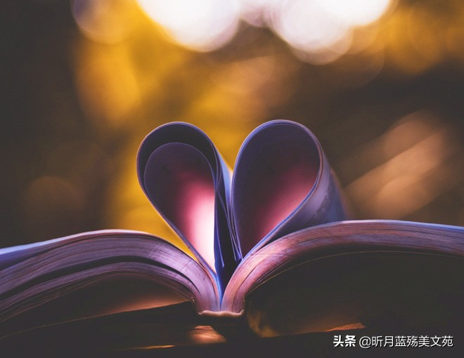 时光清浅一念情起一生相思,时光清浅愿你一切安好