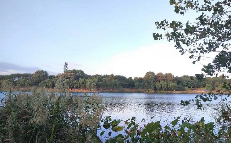 12月南京有哪些免费景点,南京市民免费旅游景点