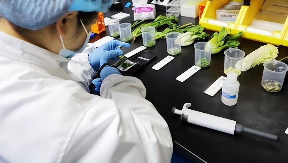 洗洁精是害人精这种说法对吗,洗洁精残留致癌真相揭晓