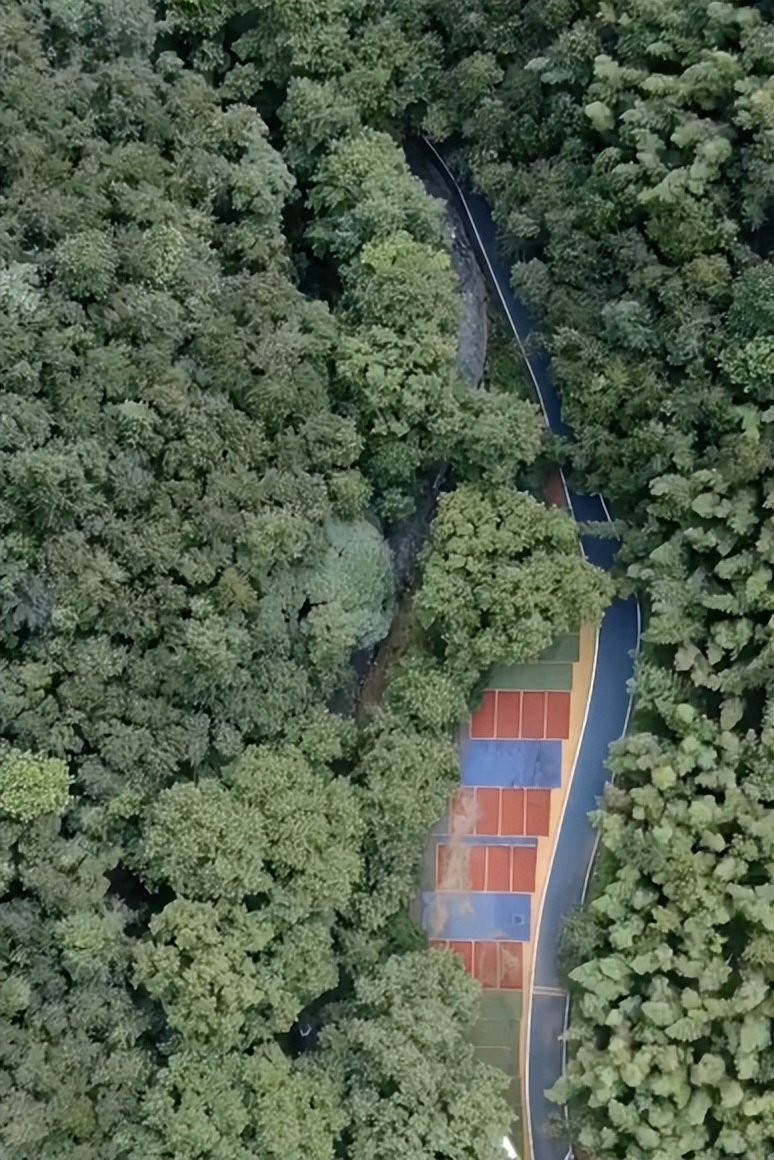 九江夏日一日游,九江两天一晚旅游攻略6月