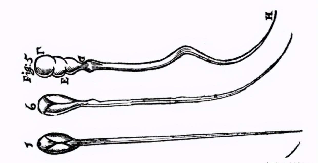科学家精子运动违背牛顿第三定律,精子科学家