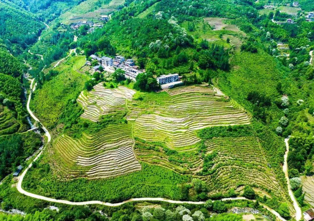 温汤镇旅游景区景点,温汤镇旅游宣传片