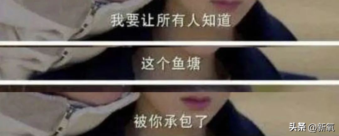 椰树老板和韩国财阀,韩国财阀山西煤老板