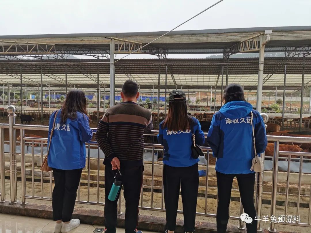 真假豆粕的鉴别方法,豆粕权威真假鉴别方法