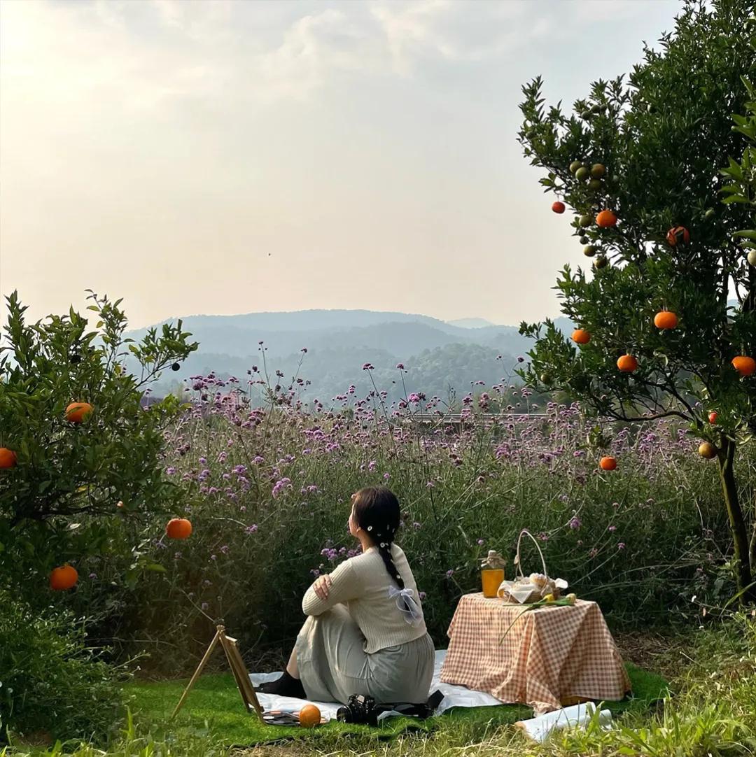 JINJUTheOrangeFarm是清迈的济州岛