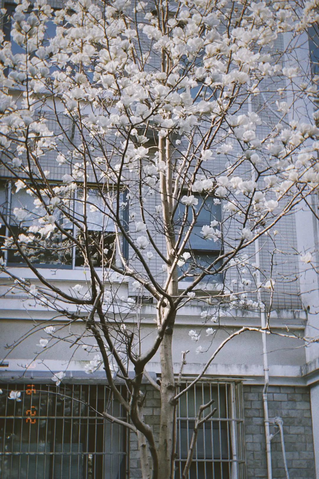 错过了一个秋天,错过了一个春秋