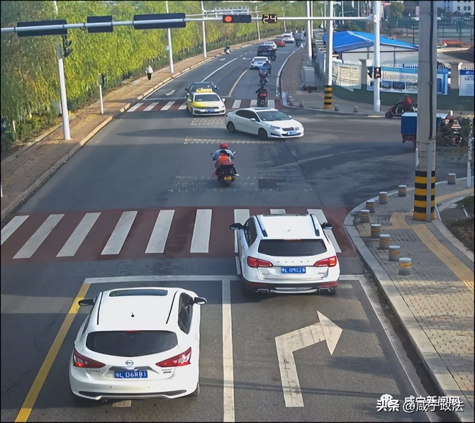 车牌被曝光,车牌被曝光名单