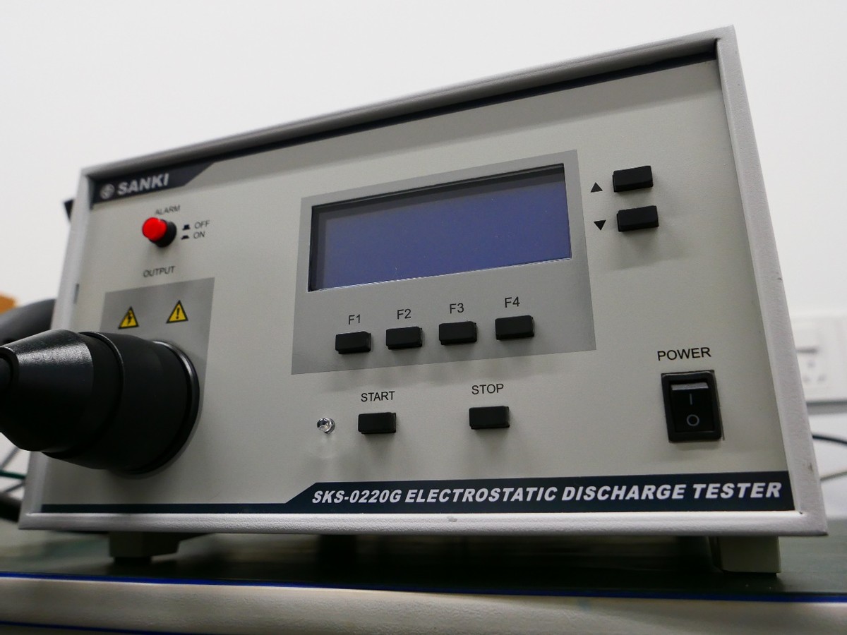 蓦然间,木已成林——探班深圳双木三林