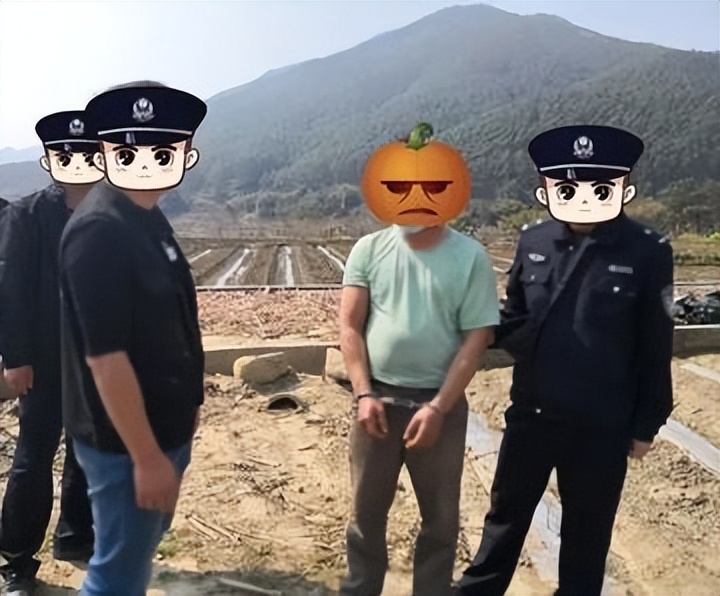 瓜农抓了偷瓜贼一人罚2个西瓜,瓜农抓到偷瓜贼却要倒赔300元