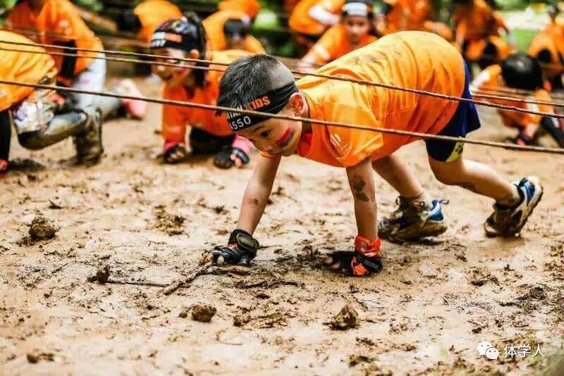 应届生哪种行业性价比较高,体育行业十大高薪职业