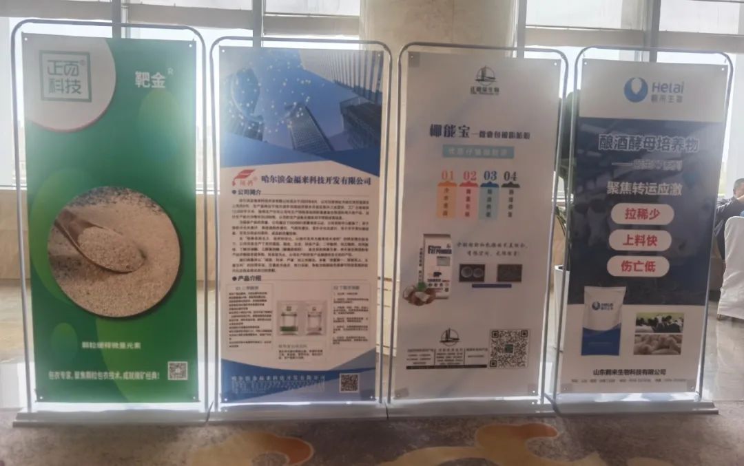 饲料企业爆品突破,饲料企业爆品突破研讨会