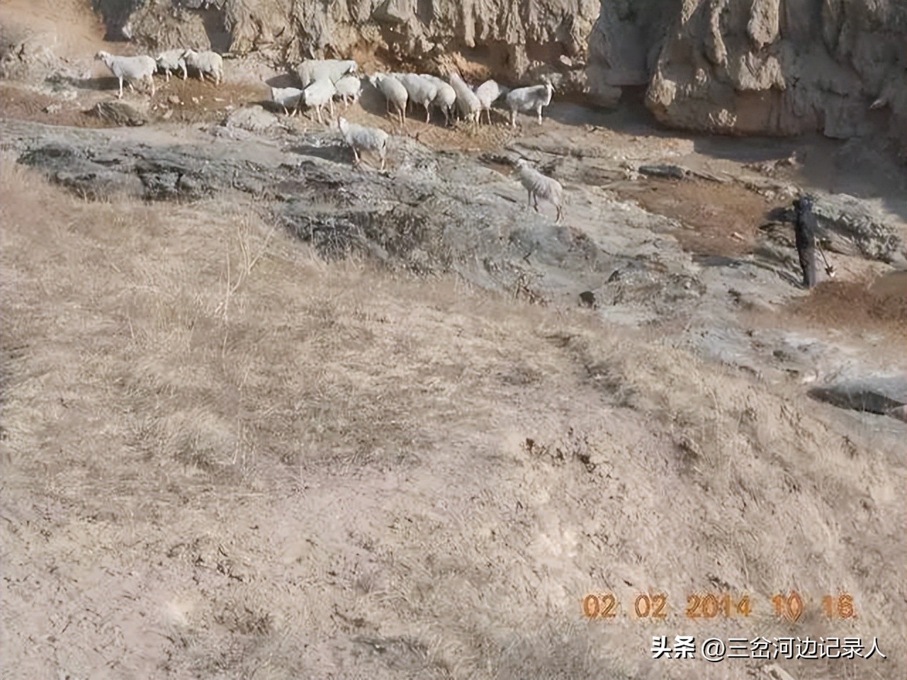 会宁县杨崖镇,会宁山沟景区