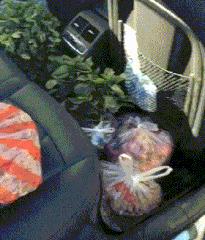 女友刚洗完澡该怎么回复,女朋友洗完澡冷得很该怎么回复